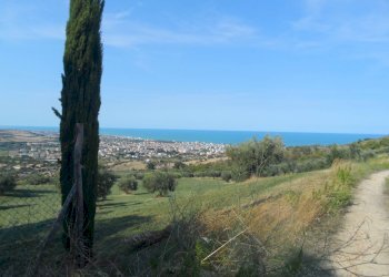 Foto 6 - Terreno agricolo Via Sant'Angelo, Tortoreto - foto 6