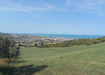 Foto 7 - Terreno agricolo Via Sant'Angelo, Tortoreto - foto 7