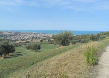 Foto 8 - Terreno agricolo Via Sant'Angelo, Tortoreto - foto 8