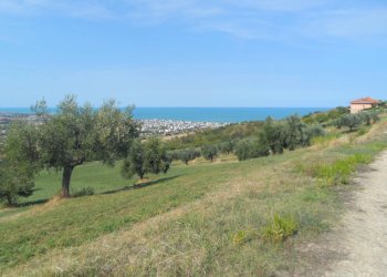 Foto 9 - Terreno agricolo Via Sant'Angelo, Tortoreto - foto 9