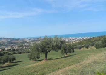 Foto 10 - Terreno agricolo Via Sant'Angelo, Tortoreto - foto 10