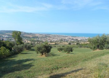 Foto 11 - Terreno agricolo Via Sant'Angelo, Tortoreto - foto 11