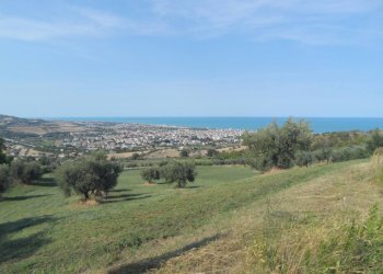 Foto 12 - Terreno agricolo Via Sant'Angelo, Tortoreto - foto 12