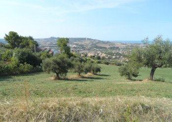 Foto 13 - Terreno agricolo Via Sant'Angelo, Tortoreto - foto 13