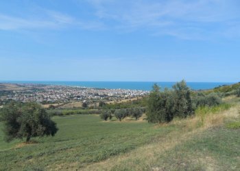 Foto 14 - Terreno agricolo Via Sant'Angelo, Tortoreto - foto 14