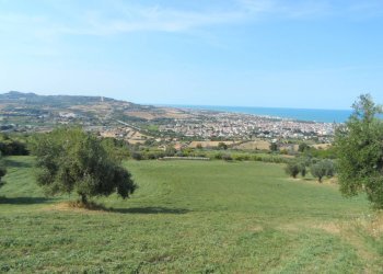 Foto 16 - Terreno agricolo Via Sant'Angelo, Tortoreto - foto 16