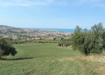 Foto 17 - Terreno agricolo Via Sant'Angelo, Tortoreto - foto 17