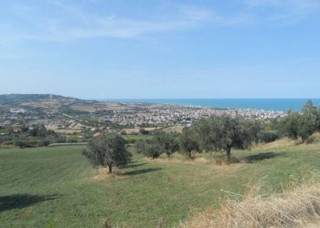 Foto 18 - Terreno agricolo Via Sant'Angelo, Tortoreto - foto 18