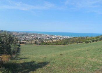 Foto 23 - Terreno agricolo Via Sant'Angelo, Tortoreto - foto 23