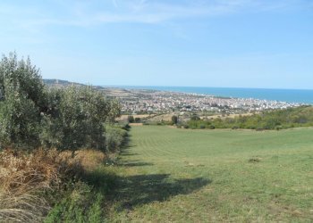 Foto 25 - Terreno agricolo Via Sant'Angelo, Tortoreto - foto 25