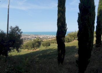 Foto 26 - Terreno agricolo Via Sant'Angelo, Tortoreto - foto 26