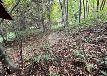 Rustic Via Pravallino, Bagnolo Piemonte - photo 10