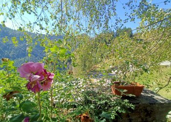 One-room apartment Frazione Collin, 1, Champorcher - photo 20