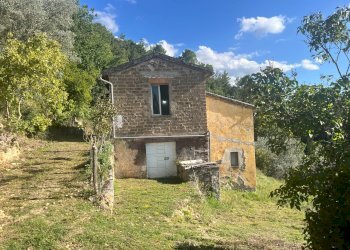 Foto 17 - Villa Terni - foto 17