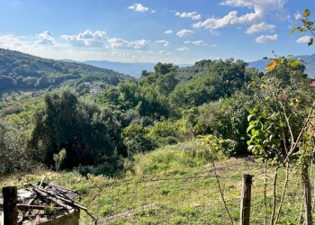 Foto 23 - Villa Terni - foto 23