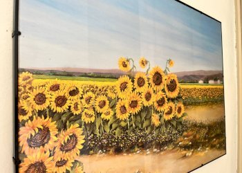 Foto 25 - Villa Terni - foto 25