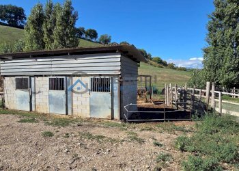 Foto 19 - Villa COSTA PELATA, Sant'Omero - foto 19