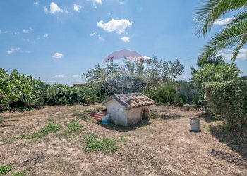 Giardino - Villa STRADA COMUNALE PIANO LUPPINO
 
SN, San Cono - foto 21