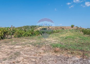 Non correlato - Villa STRADA COMUNALE PIANO LUPPINO
 
SN, San Cono - foto 23