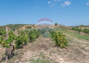 Vista delle montagne - Villa STRADA COMUNALE PIANO LUPPINO
 
SN, San Cono - foto 24