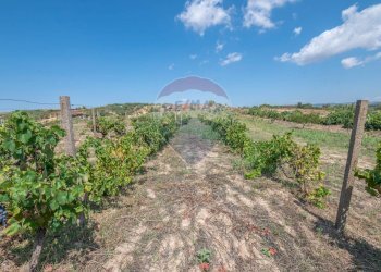 Giardino - Villa STRADA COMUNALE PIANO LUPPINO
 
SN, San Cono - foto 28