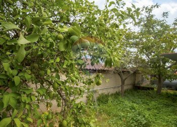 Giardino - Villa Giovanni Pascoli
 
33/A, Mascalucia - foto 6