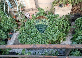 Giardino - Trilocale Viale Medaglie D'Oro
 
90, Catania - foto 8