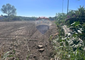 Non correlato - Terreno agricolo SS 114
 
snc, Calatabiano - foto 4