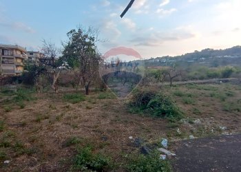 Vista delle montagne - Terreno agricolo Via Elemosina
 
snc, Aci Catena - foto 9
