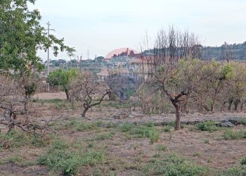 Non correlato - Terreno agricolo Via Elemosina
 
snc, Aci Catena - foto 10