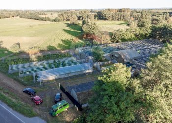 Edificio all\'aperto - Azienda agricola Cumiana - foto 3