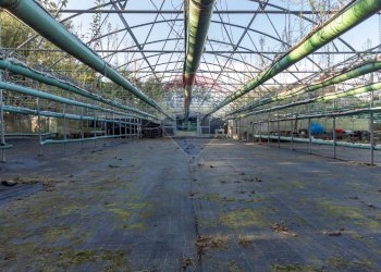 Edificio all\'aperto - Azienda agricola Cumiana - foto 6