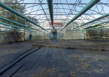 Edificio all\'aperto - Azienda agricola Cumiana - foto 7