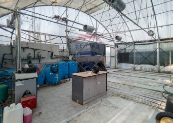 Terrazza - Azienda agricola Cumiana - foto 9
