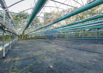 Edificio all\'aperto - Azienda agricola Cumiana - foto 10