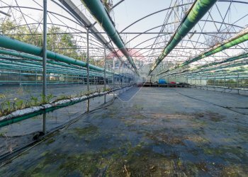 Edificio all\'aperto - Azienda agricola Cumiana - foto 11