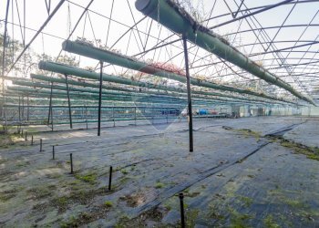 Edificio all\'aperto - Azienda agricola Cumiana - foto 12