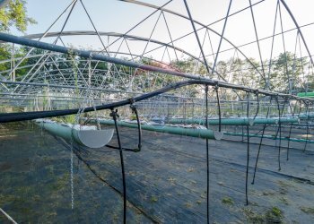 Edificio all\'aperto - Azienda agricola Cumiana - foto 14