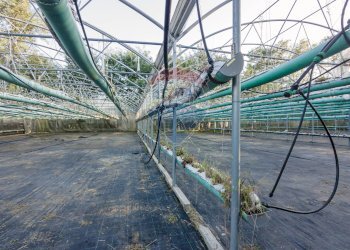 Edificio all\'aperto - Azienda agricola Cumiana - foto 16