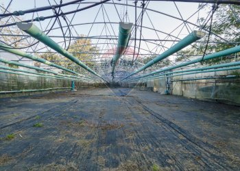 Edificio all\'aperto - Azienda agricola Cumiana - foto 18
