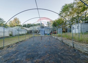 Edificio all\'aperto - Azienda agricola Cumiana - foto 27