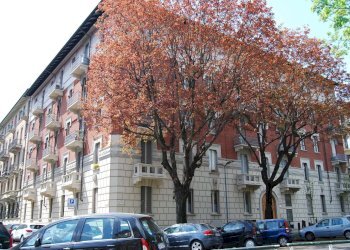 Foto 19 - Trilocale Corso Arimondi
 
17, Torino - foto 19