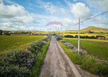 Giardino - Agricultural land Località Tres Montes
 
S.N.C., Sorso - photo 2