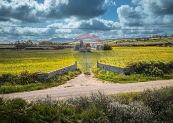 Vista delle montagne - Agricultural land Località Tres Montes
 
S.N.C., Sorso - photo 3