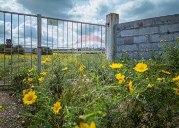 Giardino - Agricultural land Località Tres Montes
 
S.N.C., Sorso - photo 4