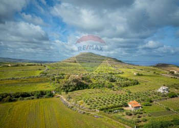 Vista delle montagne - Agricultural land Località Tres Montes
 
S.N.C., Sorso - photo 12