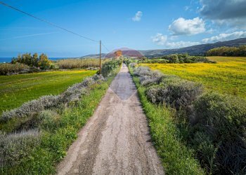 Vista delle montagne - Agricultural land Località Tres Montes
 
S.N.C., Sorso - photo 15
