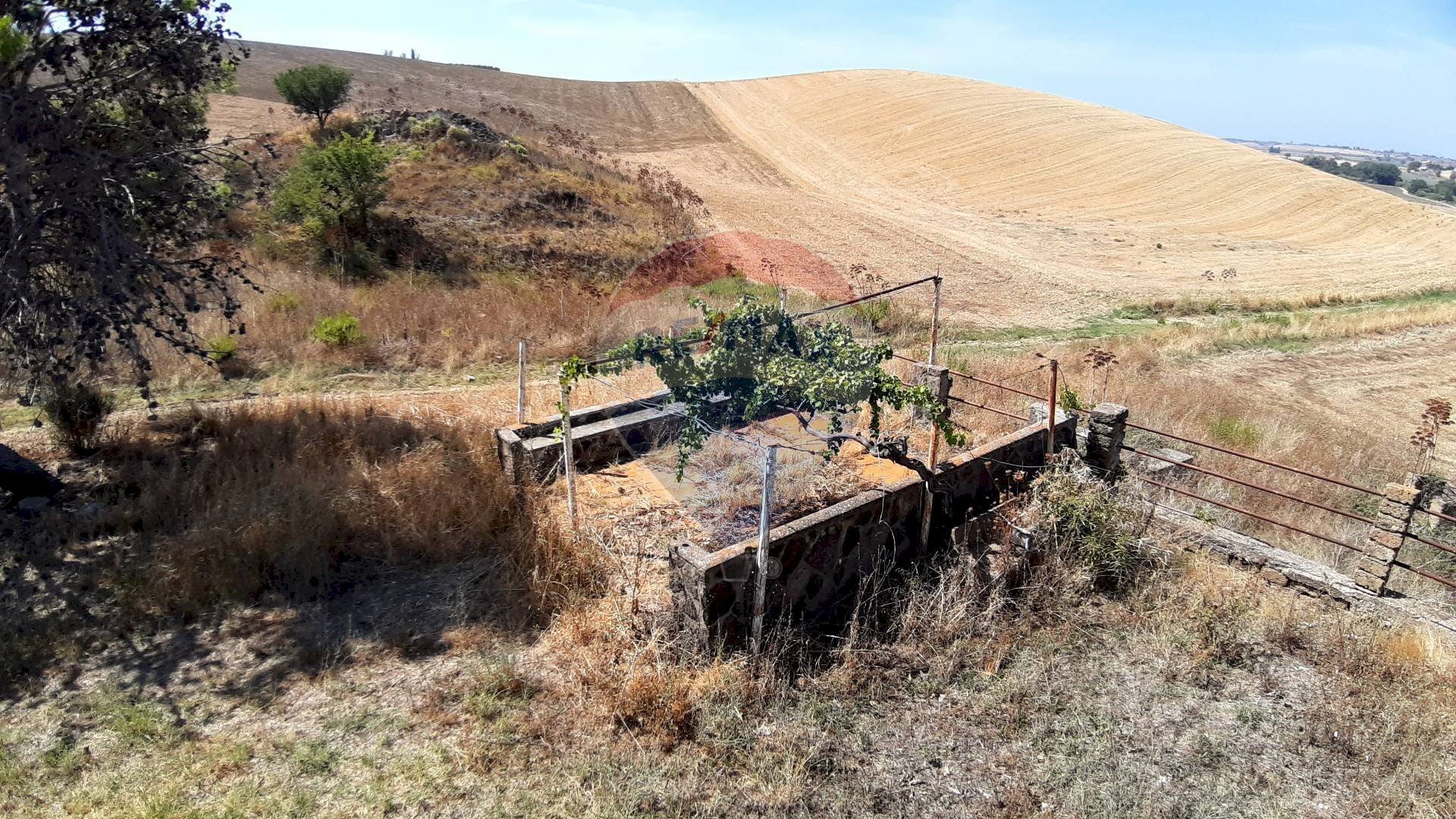 Vista delle montagne - Rustico strada Malledra la farnesiana, Tarquinia - foto 1