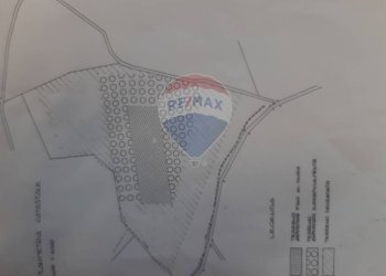 Pianta 2D - Rustico strada Malledra la farnesiana, Tarquinia - foto 7