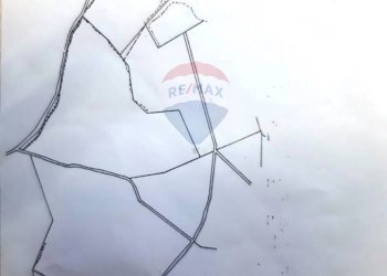 Pianta 2D - Rustico strada Malledra la farnesiana, Tarquinia - foto 10